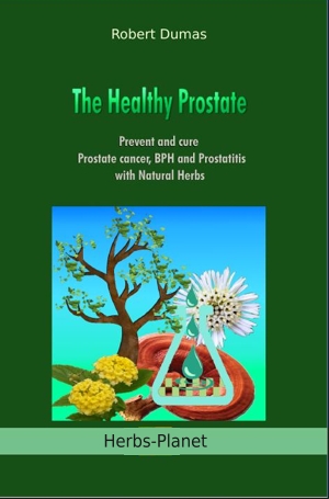 The healthy prostate.